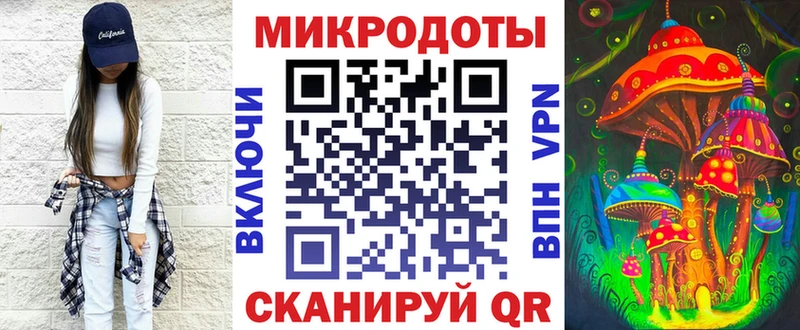 Купить закладки  Кириши  Псилоцибиновые грибы Magic Shrooms 